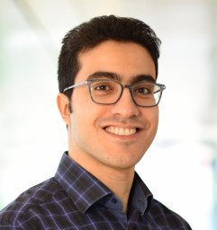 Mohammad Mahdi Khalili