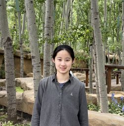 Lingrui Xu