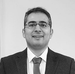 Seyed Amir Tafrishi