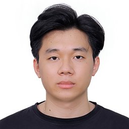 Manh Cuong Dao