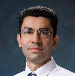 Ali Gholipour