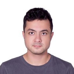 Soheil Gholami