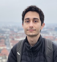 Ali Garjani