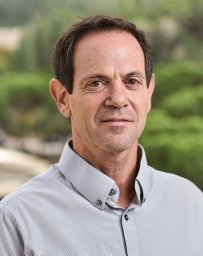 Roy Friedman