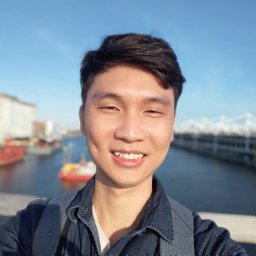The Viet Bui