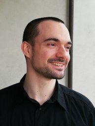 Michele Fontanesi