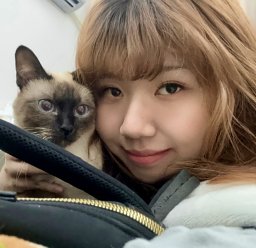 Yuanqi Yao