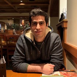 Ali Dabouei
