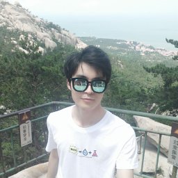 shiqing wei