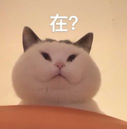Lei Huang