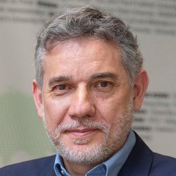 Ramón Salaverría (ORCID:0000-0002-4188-7811)