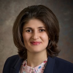 Roghayeh Leila Barmaki, PhD