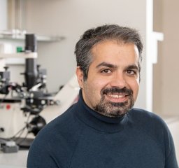 M. Ali Nasseri