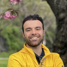 Mahdi Abavisani