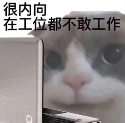 Lingyi Hong
