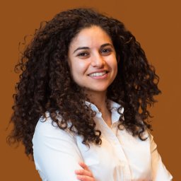 Ava P. Amini