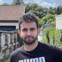 Alireza Amiri