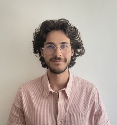Diogo A.P. Nunes
