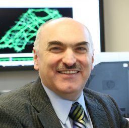 Hani Mahmassani
