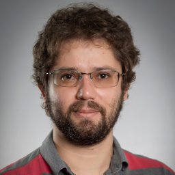 Haroldo V. Ribeiro