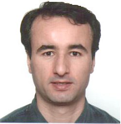 Halil Sezen, Professor